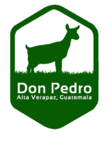 donpedro.gt
