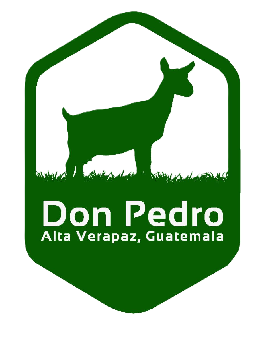 donpedro.gt